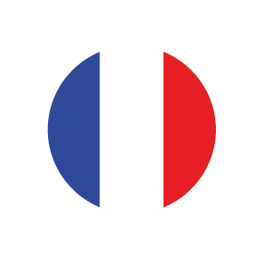 bandera francesa